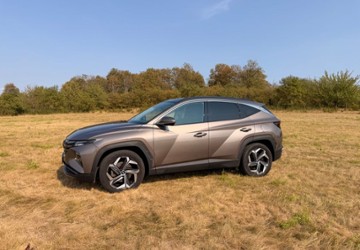 Hyundai TUCSON 96.000 km 21.800 &euro; Großrudestedt 99195