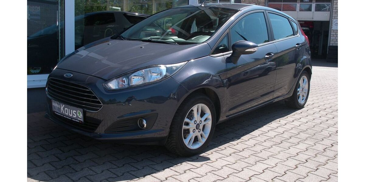 Ford Fiesta 48.905 km 6.990 &euro; Gelmeroda 99428