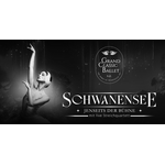 Grand Classic Ballet - Schwanensee - jenseits der Bühne 